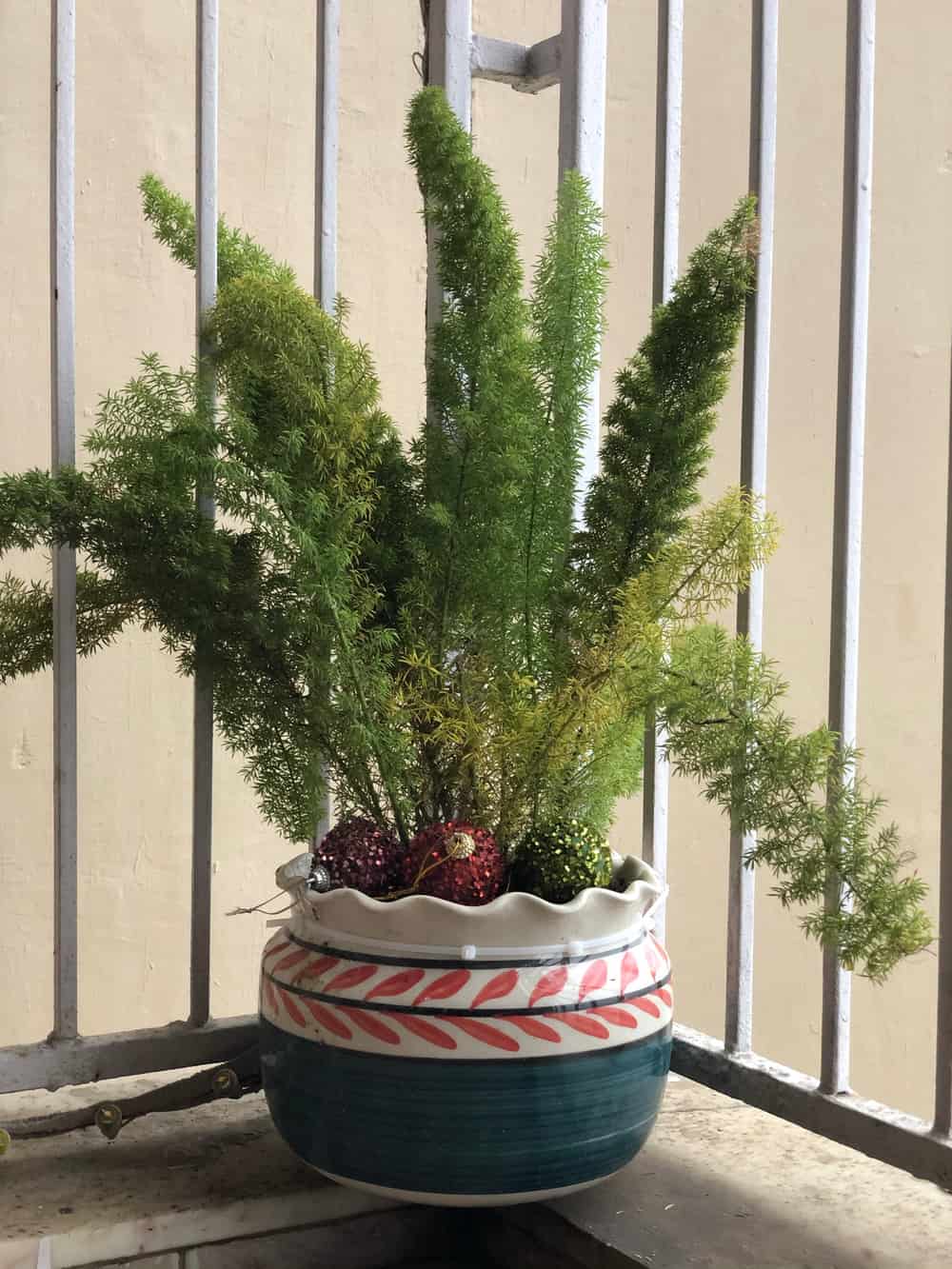 Helecho de interior: elegante, fácil y con un plus de humedad