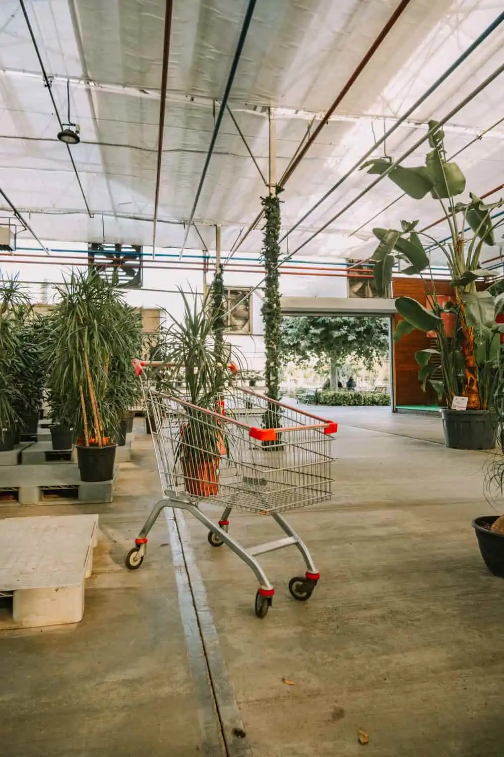 El Market de Botanic